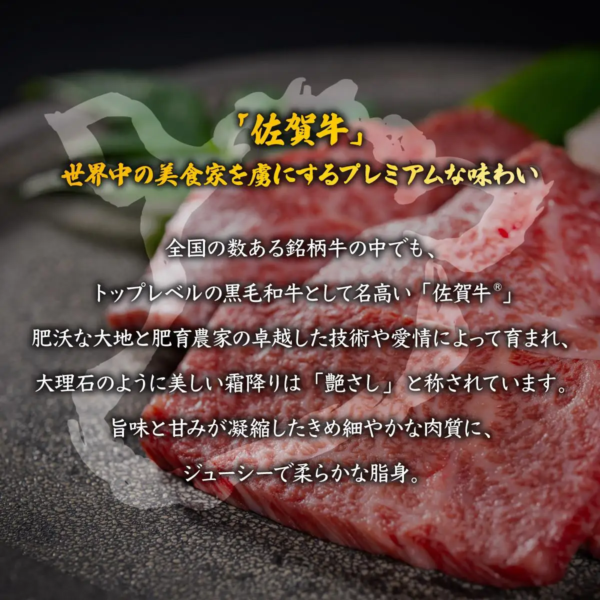 佐賀ざんまい！厳選6種焼肉盛り合わせ1000g（4～5人前）