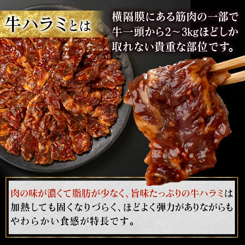 牛ハラミ タレ漬け焼肉用1.5kg〔14-3603〕_(都城市)  醤油ベース 牛肉