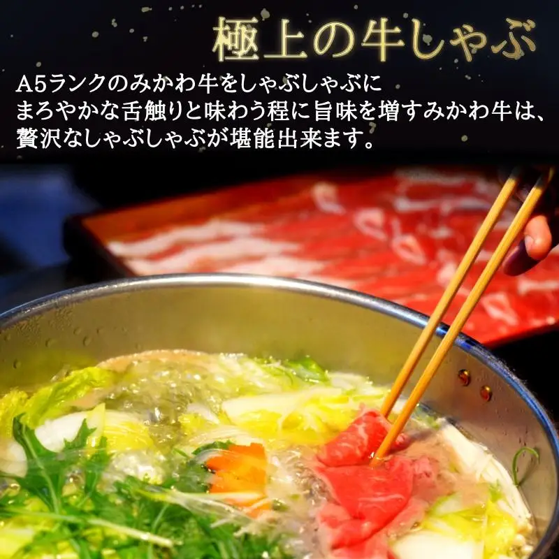 A5等級みかわ牛　しゃぶしゃぶ・すき焼き用スライス肉　1kg（500g×2）