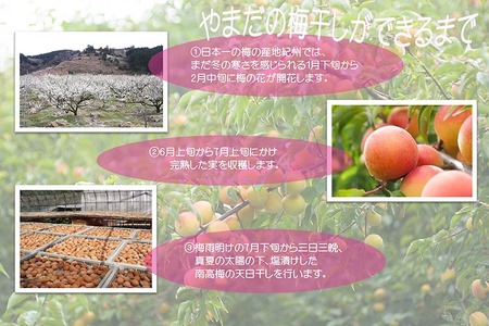 紀州南高梅プレミアム塩分約3％（850g）| 梅干し 減塩