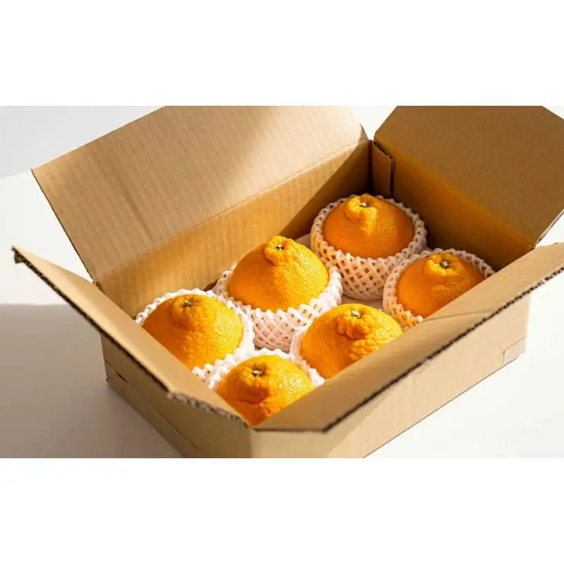 【先行予約】希少な樹上完熟　しらぬい（不知火） 秀品大玉 約2kg(6個) 2027年2月末～2027年3月末頃に順次発送予定（お届け日指定不可）/ 和歌山 みかん しらぬい 不知火 【kiy001A】