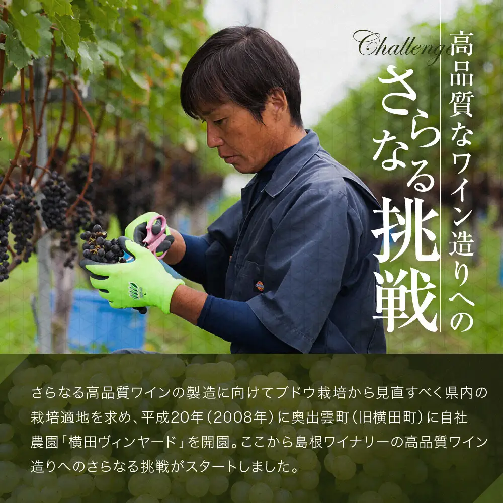 島根わいん　出雲デラウェア　オランジュ　2本セット