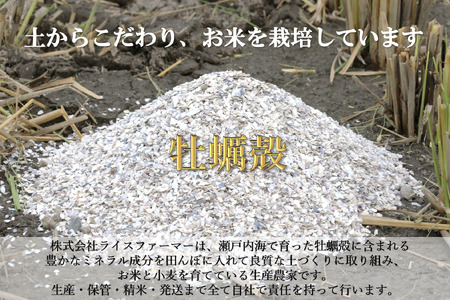 Cz-17　【お米　特別栽培米　特Aランク】岡山県産「きぬむすめ」10kg（令和6年産）