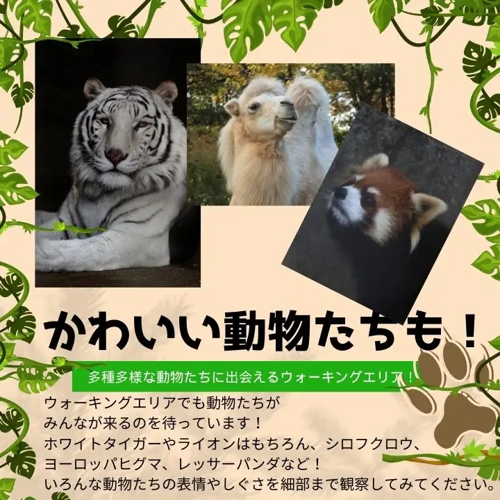 東北サファリパーク入園チケット 大人2名＋小人1名（ 入園チケット＋草食動物のエサ）【株式会社東北サファリパーク】