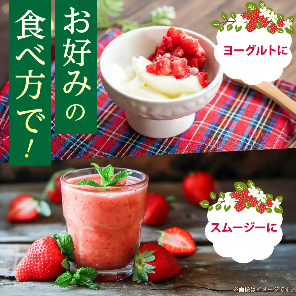 冷凍あまおう 500g（250g×2個）[ABEB025] いちご 果物 [ABEB025]