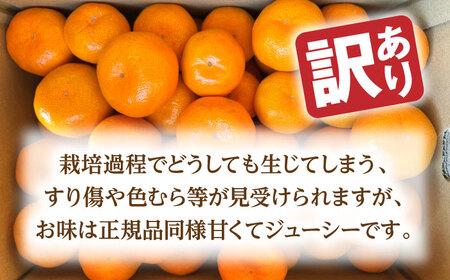 【先行予約】 訳あり 温州みかん 『青島』 約5kg S~Lサイズ 【奥村果実園】[ZFK001]
