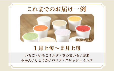 【6回定期便】シュシュ 季節のジェラート8個セット / アイス アイスクリーム ジェラート スイーツ /  大村市 / おおむら夢ファームシュシュ [ACAA418]