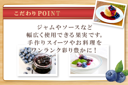 A-1221 冷凍ブルーベリー