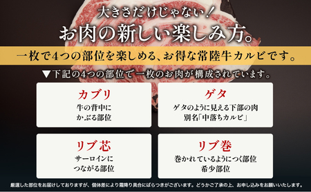 【茨城県共通返礼品】茨城県産 ハミデルカルビ300g | カルビ かるび カブリ 部位 ゲタ 中落カルビ リブ芯 リブ巻き 希少部位 高級部位 リブロース 牛肉 牛 大きい とろける 甘み はみでる 食卓 バーベキュー BBQ パーティー