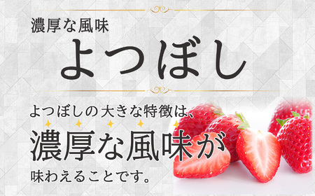 【先行予約】Linda Lindo BERRY 2Lサイズ 12粒 （2027年1月中旬ころより順次発送予定） | いちご かおり野 よつぼし 深紅の美鈴