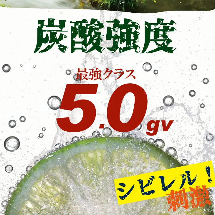 強炭酸水レモン 1,000ml×15本 炭酸 飲料 A060-009