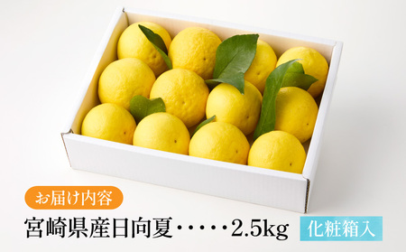 フルーツ 日向夏 フルーツ[《2027年発送先行予約》 2.5kg 宮崎県産]