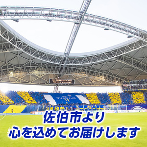 大分トリニータ ホームゲームツアー＆プレミアム 観戦体験 (1名) 大分トリニータ Jリーグ サッカー trinita 【HS004】【大分フットボールクラブ】