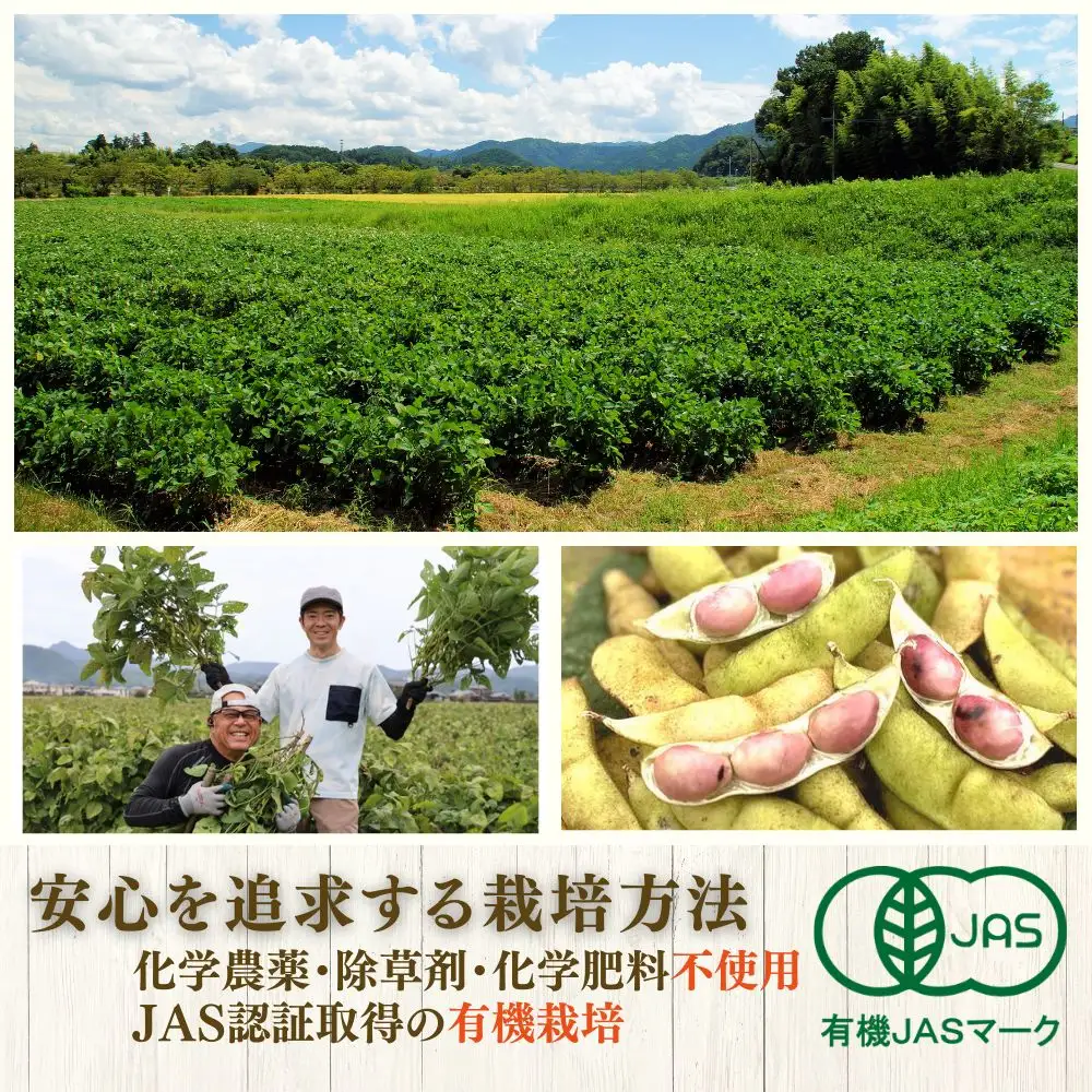 【令和8年10月中旬頃から11月上旬頃発送予定】日本遺産 丹波篠山市 JAS有機栽培 オーガニック黒枝豆（200ｇ×5袋）DRM002