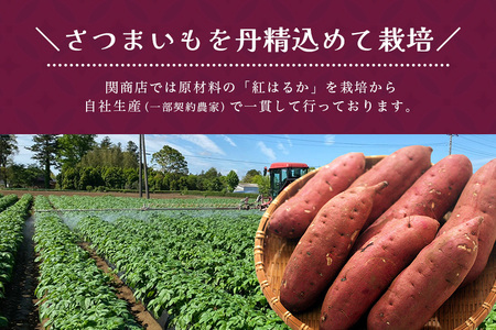 【期間限定】 関商店 焼き芋 紅はるか 1.5kg 国産 茨城県産 砂糖不使用 焼き芋 やきいも 焼芋 焼きいも べにはるか ベニハルカ 甘い 柔らかい 安心 安全 品質 食味 おやつ 62-G ＜2027年4月20日まで受付＞