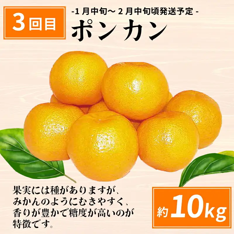 えひめの旬の柑橘 6回 みかん定期便 JA みかん定期便 B120-009012