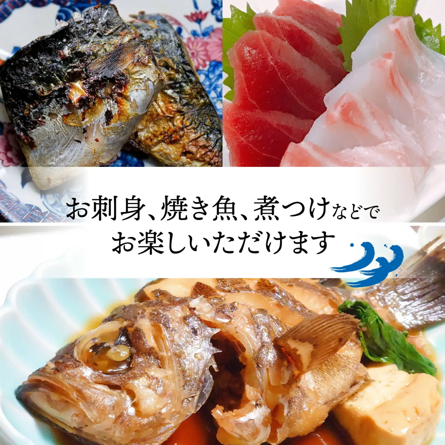御食の国 若狭小浜より！獲れたて鮮魚BOX｜4から5kg 4から7種【配送不可地域：北海道、北東北（秋田、青森、岩手）、九州、沖縄、離島】 [BFAA060] 