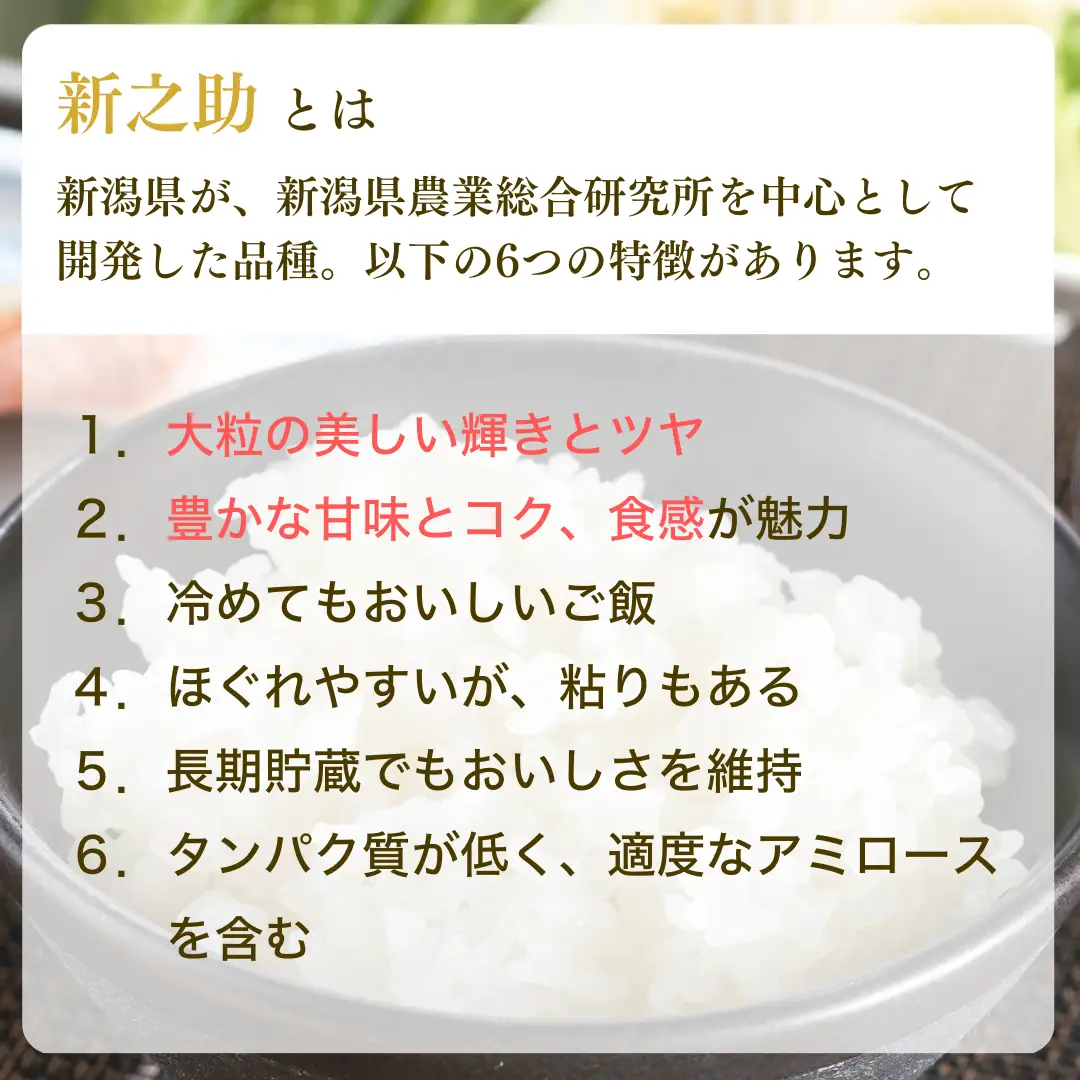 【定期便】【新米】【先行予約】 「新之助」 5kg 3か月 (9月下旬より順次発送予定 ) 新潟県産 出雲崎町産 令和8年産 合計15kg | 新之助 新潟県 出雲崎町
