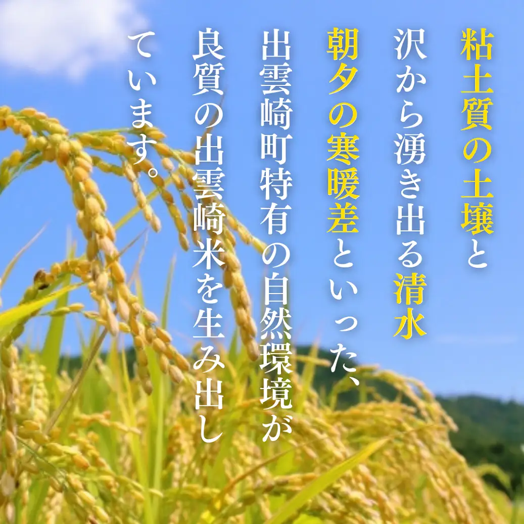 【新米】【先行予約】 食べ比べ 3種 「コシヒカリ、出雲崎の輝き、新之助」 5kg×3種類 合計15kg 令和8年産 | コシヒカリ 新潟県 出雲崎町