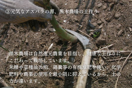 【令和9年先行予約】グリーンアスパラ M～Lサイズ 2kg アスパラガス 黒木農場 北海道 美瑛