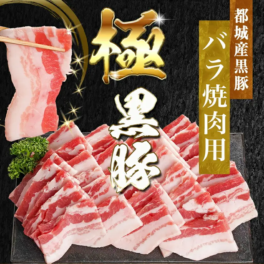 宮崎牛&黒豚バラ焼肉セット(合計1kg)〔18-N402〕_(都城市) 宮崎県産宮崎牛 都城産黒豚  バラ焼肉用 各500g×1P セット 焼肉用カット 焼肉 BBQ 冷凍