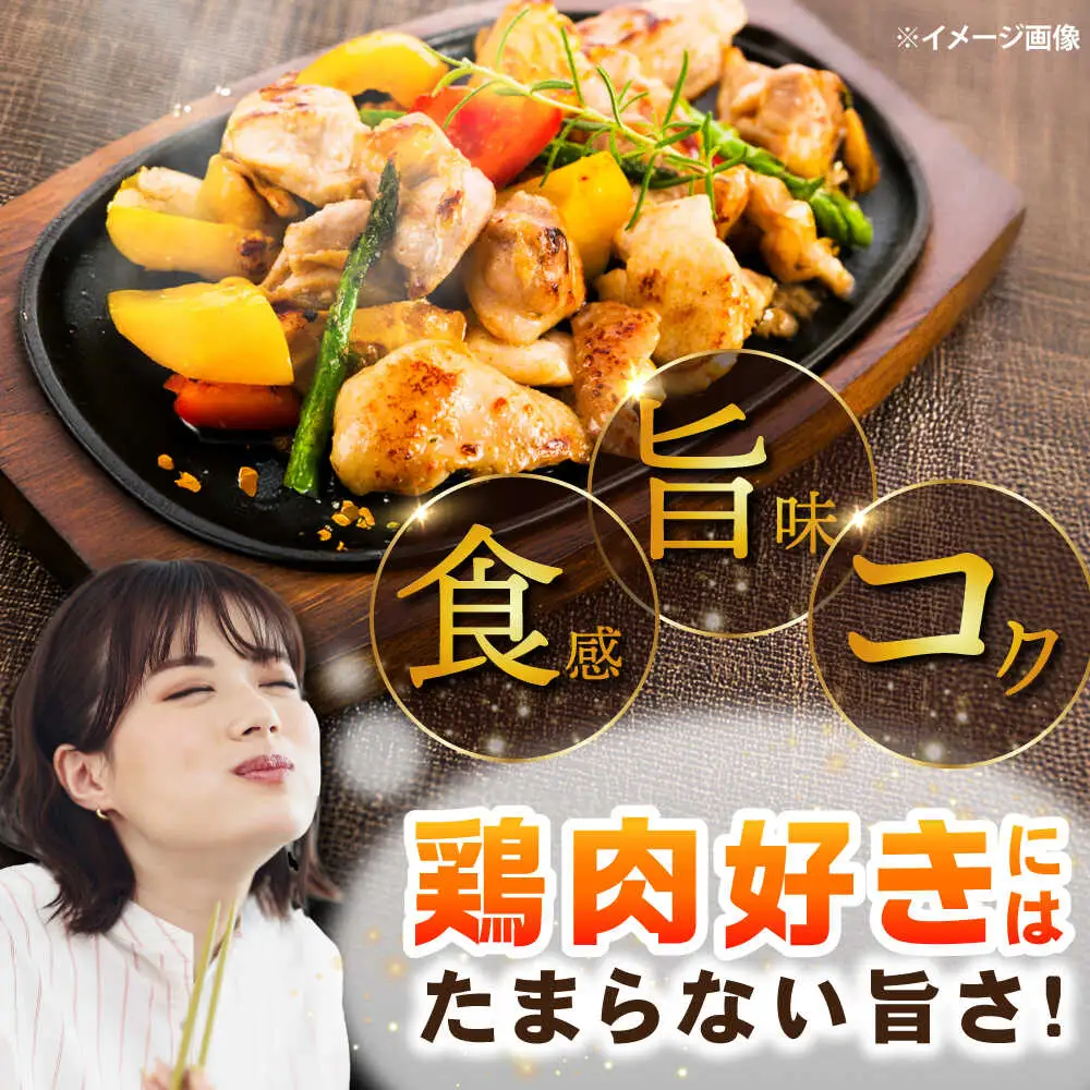 高知の地鶏はちきん地鶏モモ肉カット 約500g×1 【合同会社土佐あぐりーど】[ATBO020]