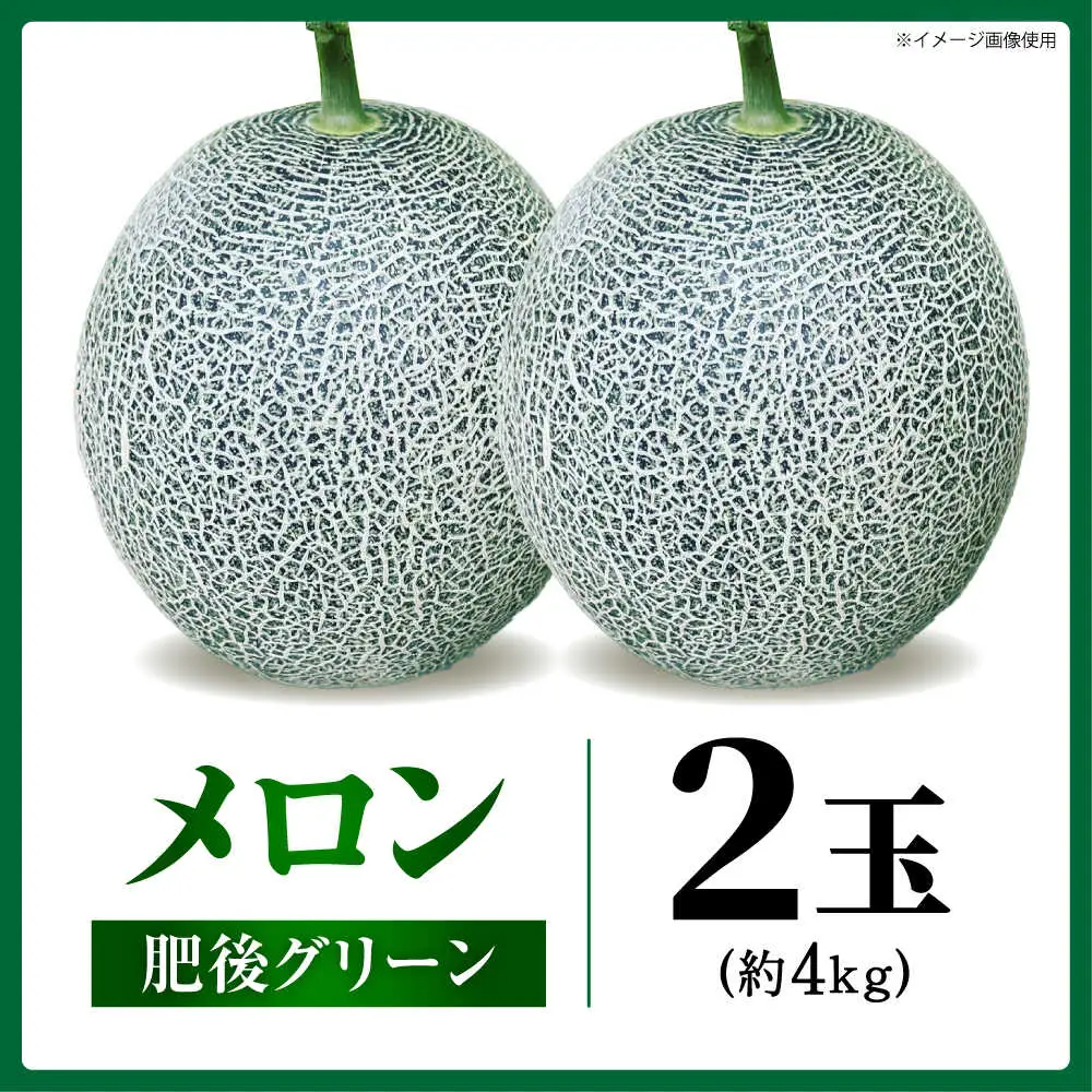 先行予約 肥後グリーンメロン約4kg(2玉)ZEM006