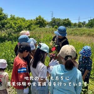 甘酒 蓮華 濃い甘糀 国産 無添加 甘酒