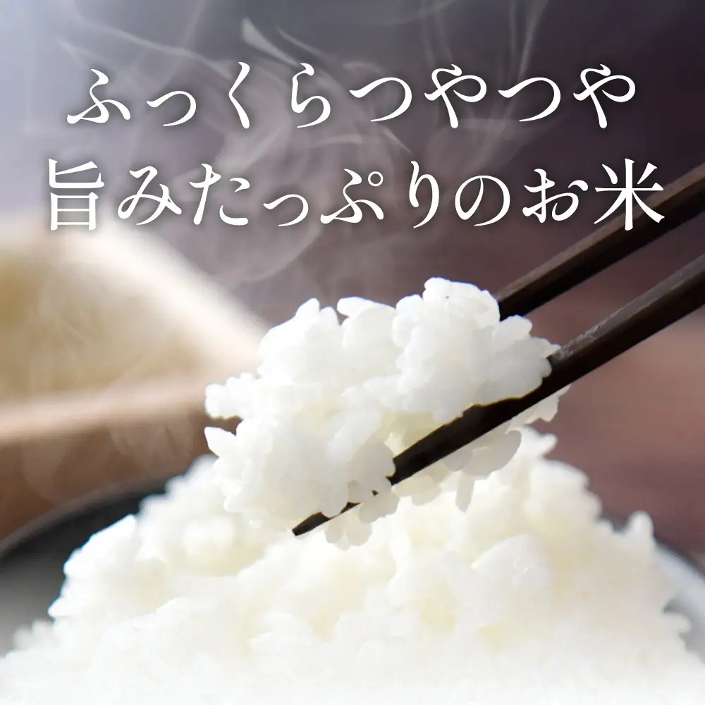 寄付額改定〈スピード出荷〉減農薬 特A 丹波篠山産 特別栽培米 こしひかり 20kg 精米 小分け