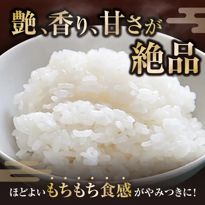 米 10キロ ミルキークイーン 白米[AQCP006] 米 10kg