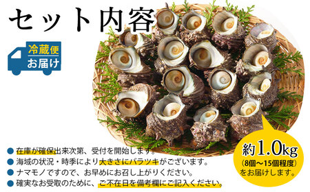 玄海町産 活サザエ 1.0kg ／ 数量限定 壺焼き サザエ【A186】