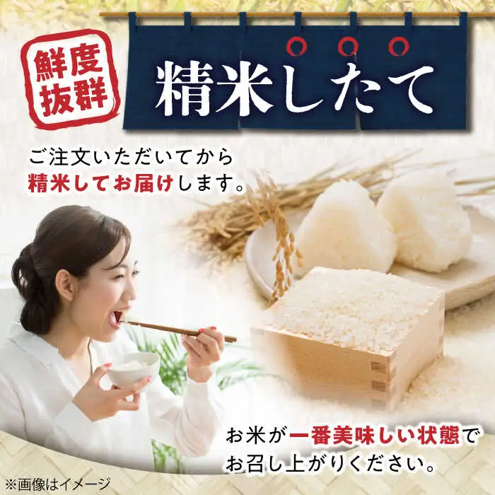 米15kg 3種セット（コシヒカリ5kg・ミルキークイーン5kg・みずかがみ5kg）[AQCQ003] お米