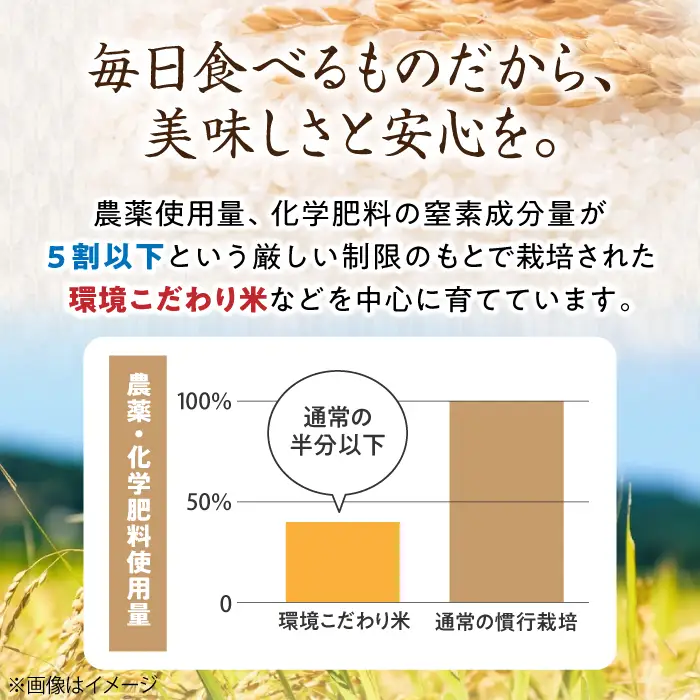 白米 新米 みずかがみ4kg白米[AQCQ004]