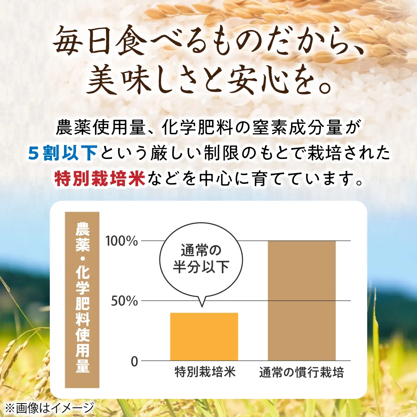 滋賀県産【特別栽培米】もち米 羽二重糯 3kg[AQCQ007] もち米