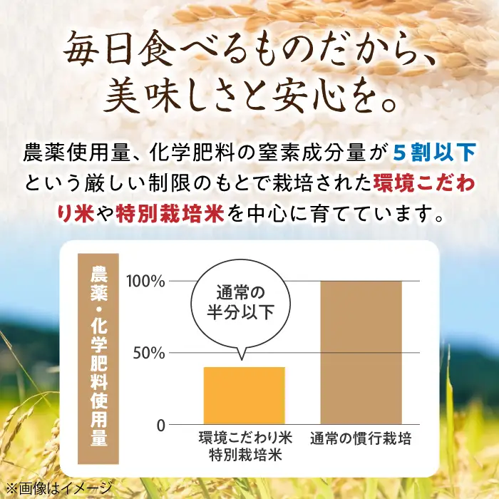 米 食べ比べ 新米 6kg コシヒカリ ミルキークイーン みずかがみセット[AQCQ010] 米