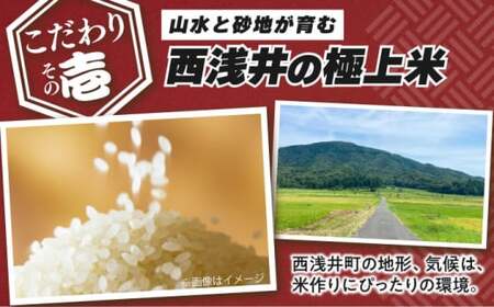 【全6回】近江米 コシヒカリまるこ米4kg（2kg×2）　無洗米 [AQCZ018] コシヒカリ