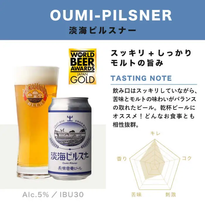 【全12回 定期便】クラフトビール 6本セット[AQBX071]クラフトビール