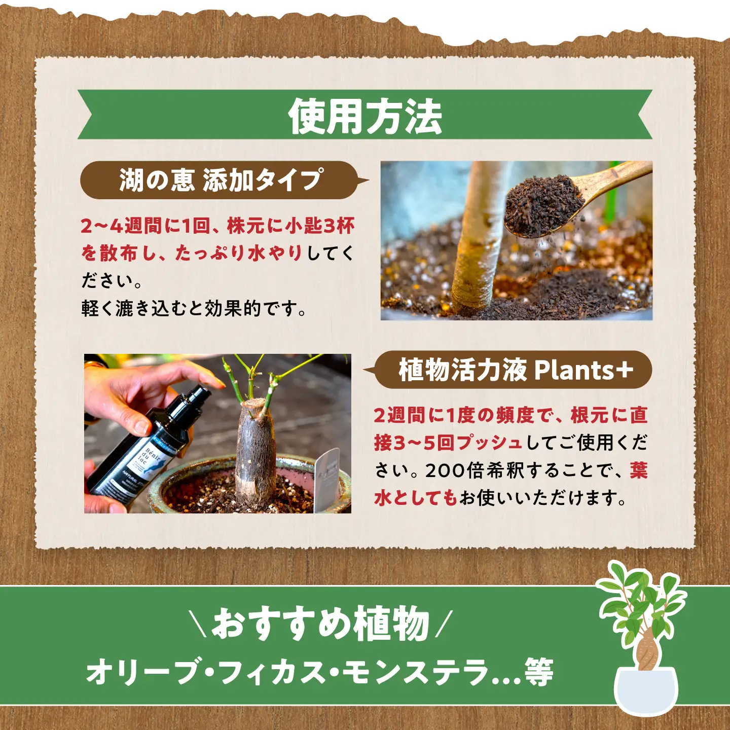 天然土壌菌入り肥料 湖の恵 しっかり使える追肥セット[AQBR007] 肥料