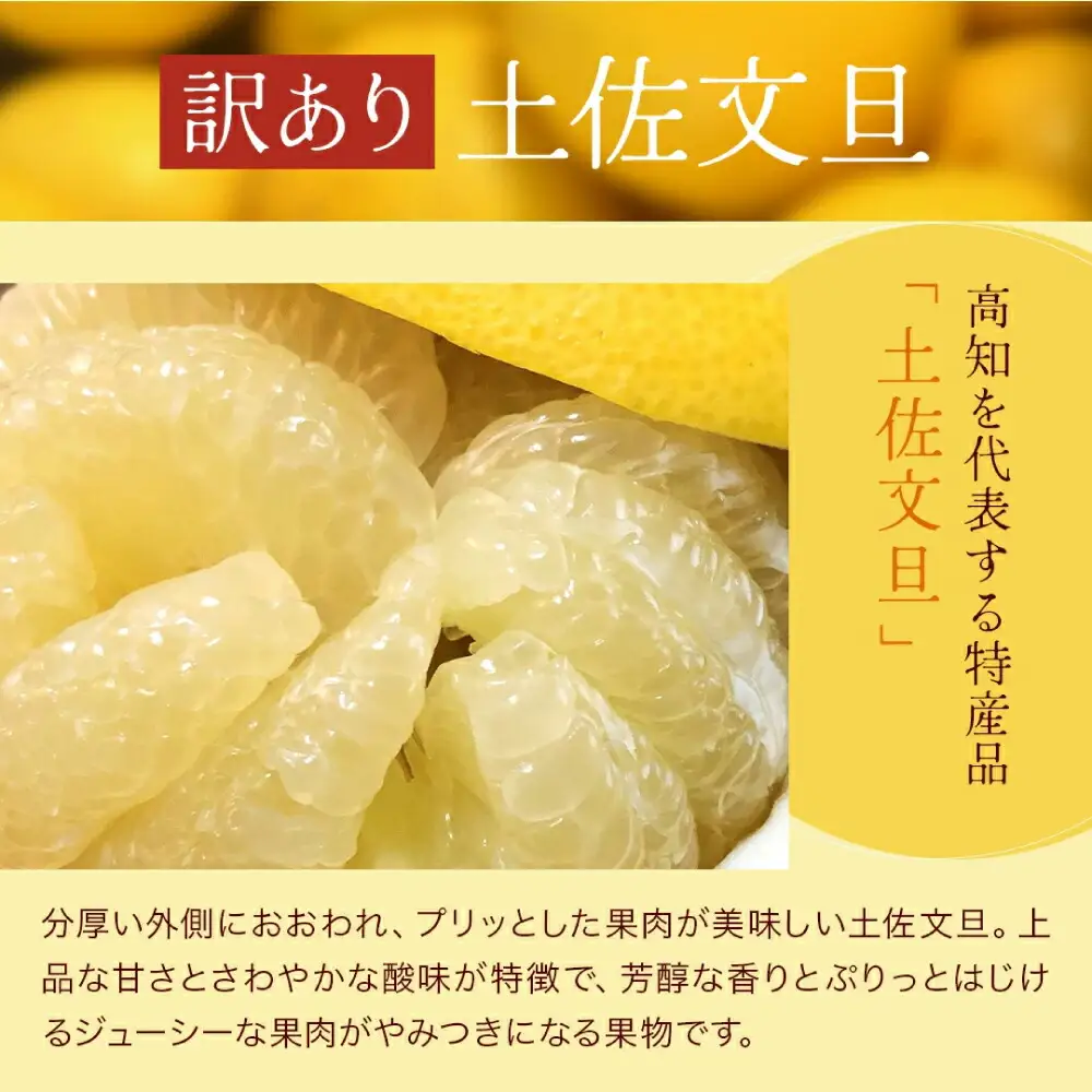 【先行予約】高知県産 訳あり 土佐文旦 約10kg 〈2027年1月下旬頃から発送〉 / 傷 シミ 訳アリ 【株式会社　四国健商】[ATAF038] 支援 支援品