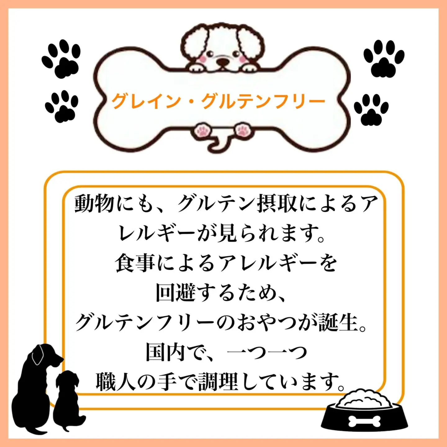 ペットフード研究所 国産無添加 猪肉ジャーキー200g×6回定期便【087B-107】