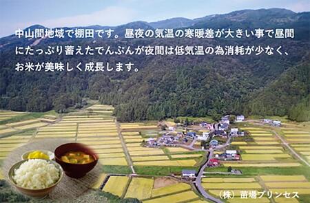 【令和8年産先行予約】魚沼産こがねもち 精米5kg 特別栽培米 農薬化学肥料5割減 |津南町 こがねもち