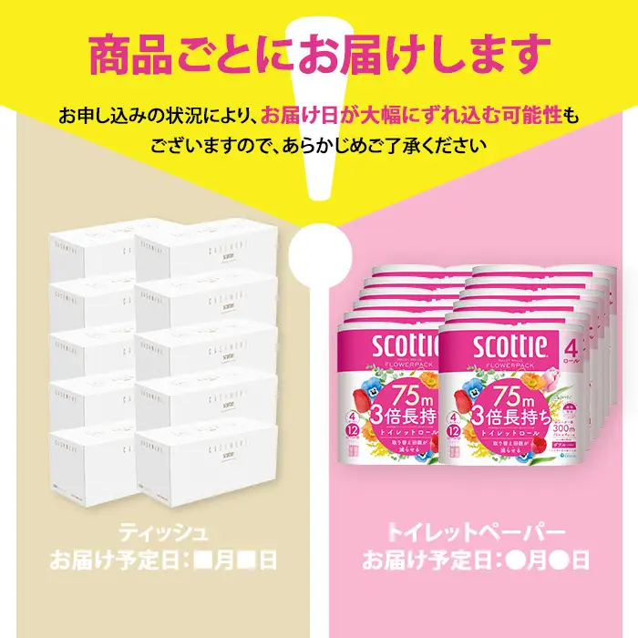 スコッティカシミヤ ティッシュペーパー 10箱 ＋ トイレットロール 48個 セット （トイレットペーパー ティッシュ 日用品）