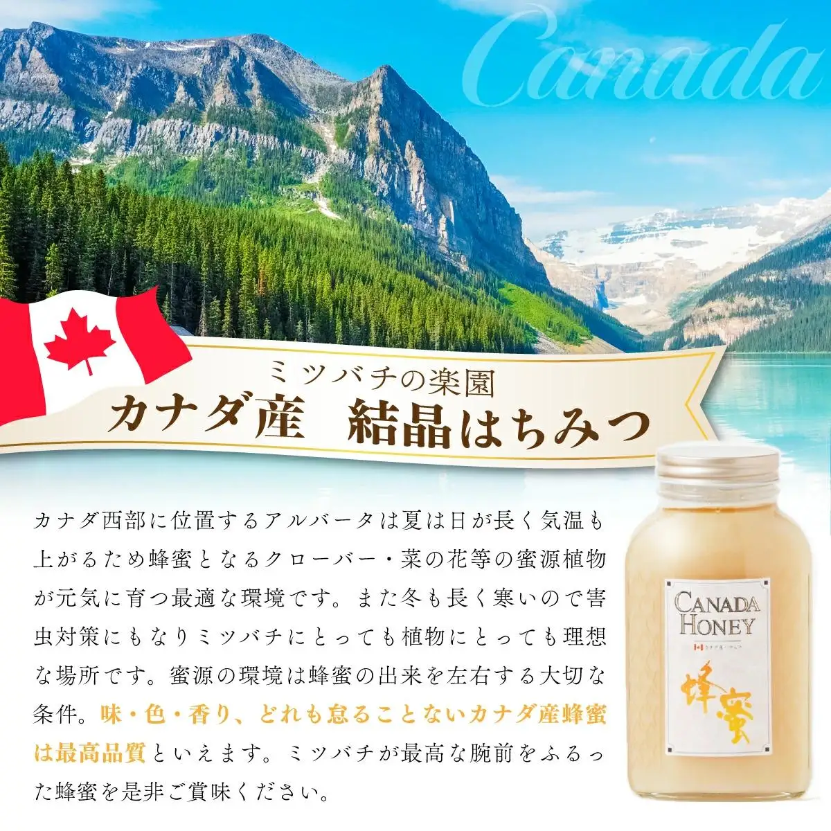 はちみつ ハンガリー産アカシア蜂蜜・カナダ産結晶蜂蜜 はちみつ