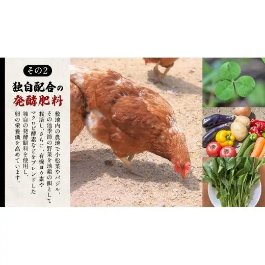 【6ヵ月 連続 定期便】王様の卵 ヨード入 20個 (15個+割れ保障5個 ) 計120個