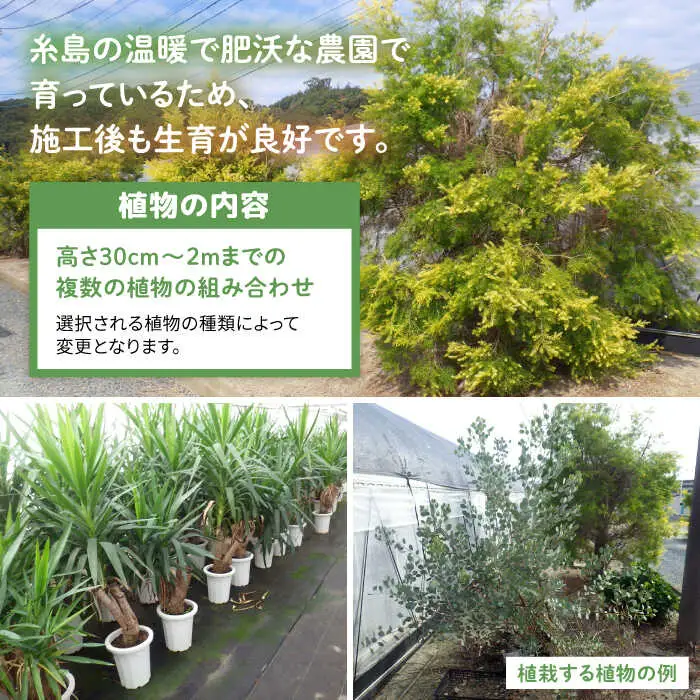 グリーンコーディネートチケット 11,000円分 【施工込み】 糸島市 / サン・グリーン 園芸 植木 [AVN002]