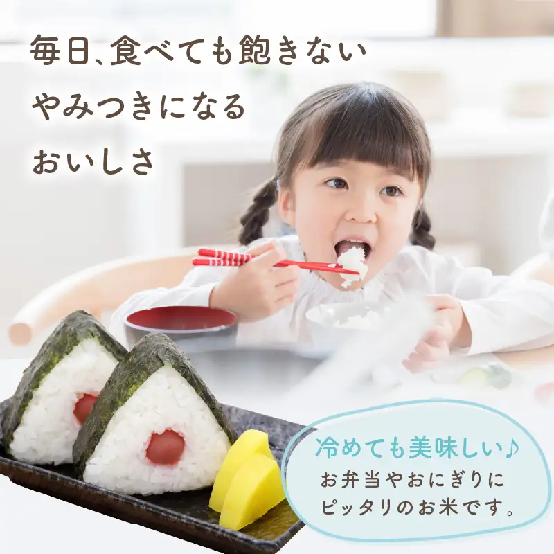 令和7年産　京都・京丹後産コシヒカリ　5kg（5kg×1袋）お米 ごはん ご飯 コシヒカリ こしひかり おにぎり 精米 白米 ふるさと納税 米
