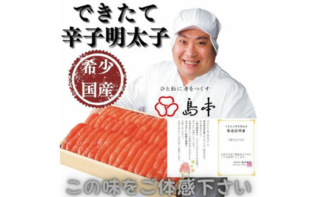 明太子 特別限定品・希少国産卵のできたて辛子明太子240ｇ(無凍結)めんたいこ 明太子 [ABCR005]