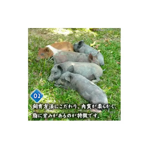 【 とんかつ 】 とんかつ 720g