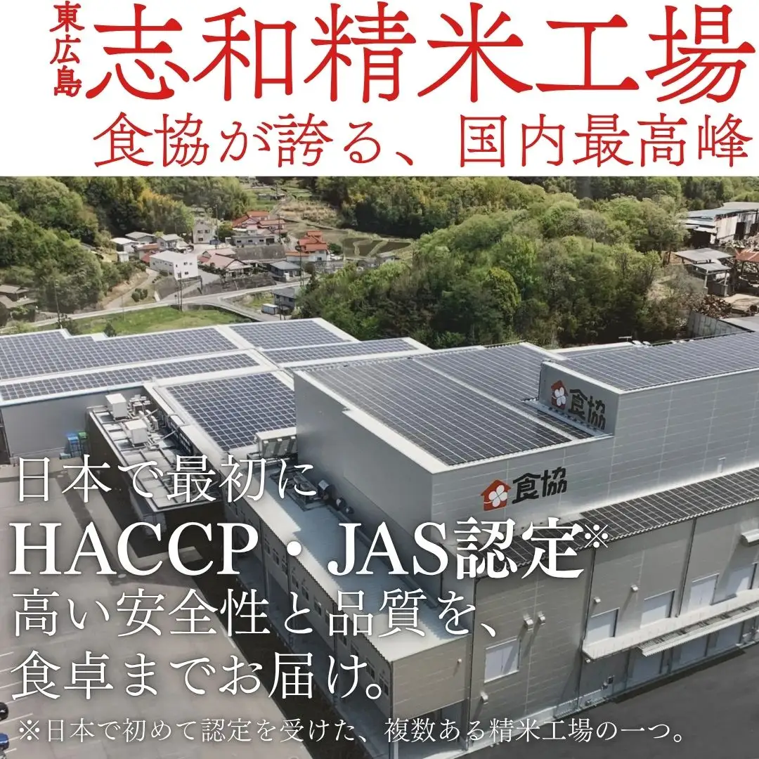 キューブ型 無洗米 恋の予感2合(300g)×6個セット ギフト 個包装 真空パック