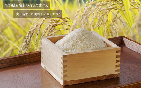 老舗割烹仕込みの釜めし2種セット（海老・山菜）松の家 | 釜めし 新潟県 五泉市